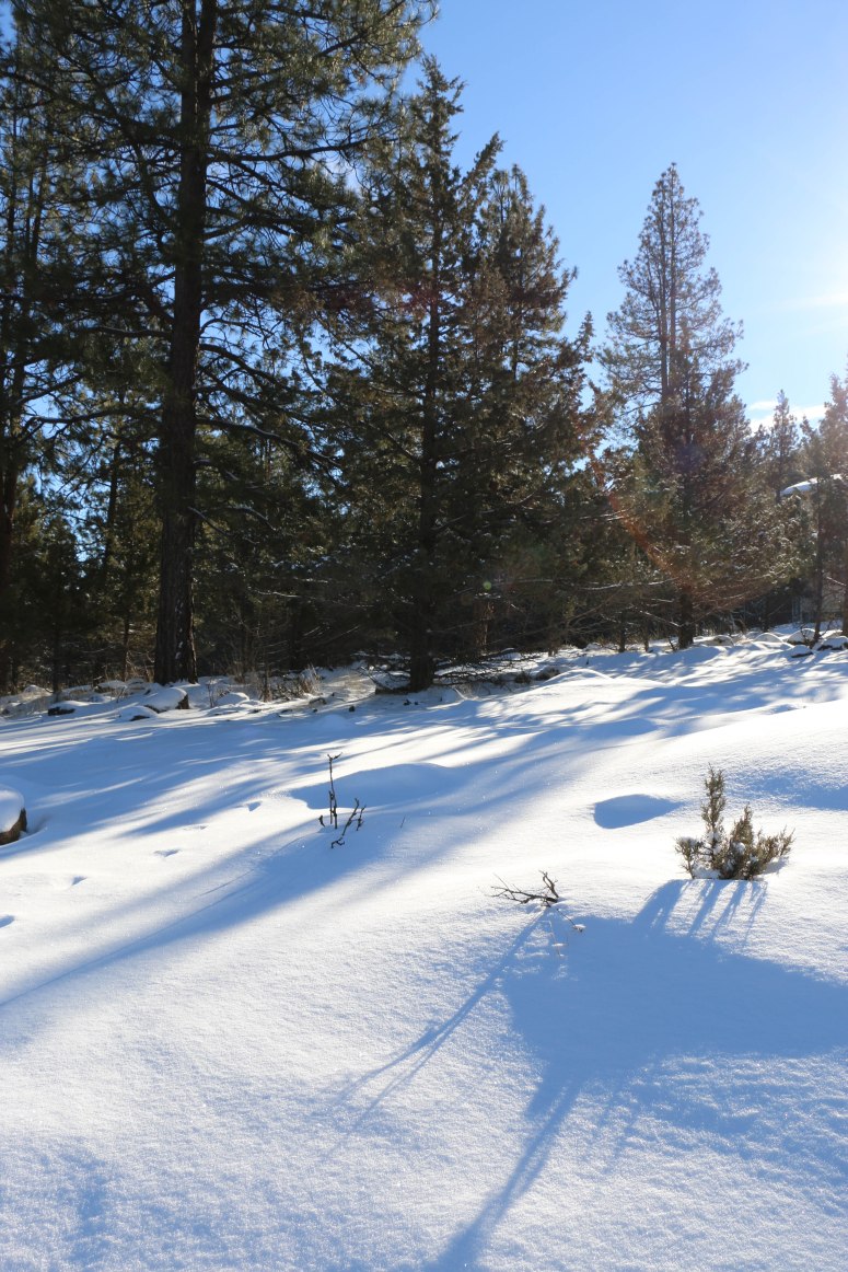 Christmas snow 02 bp