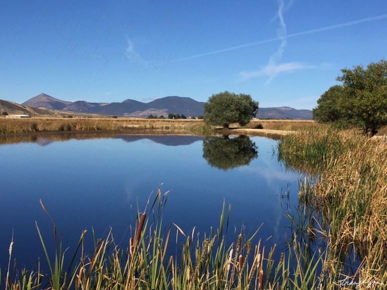 Discovery Marsh_ 04.jpg