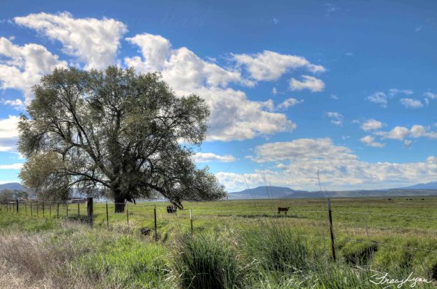 Springtime in Farm Country