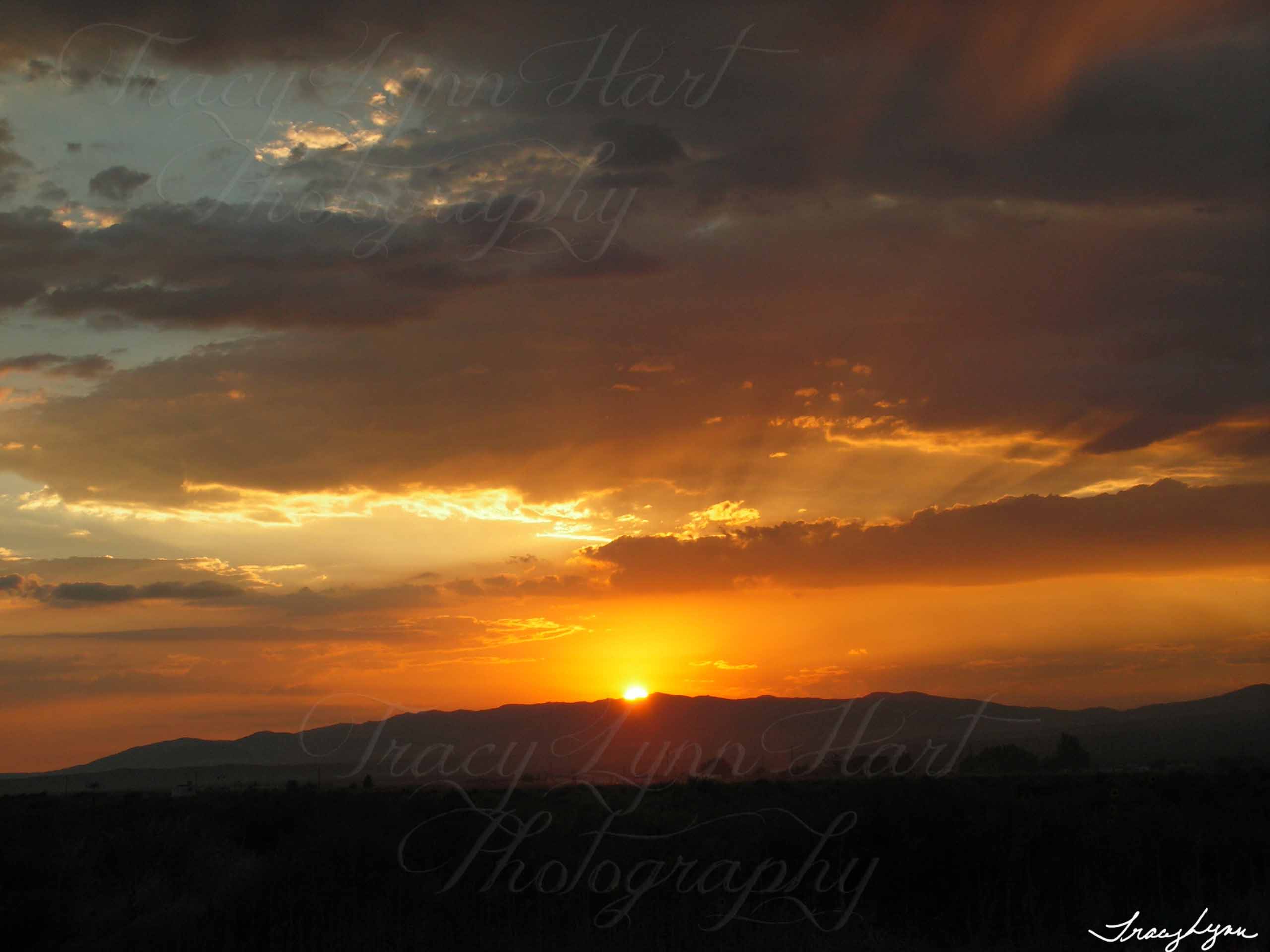 KONICA MINOLTA DIGITAL CAMERA