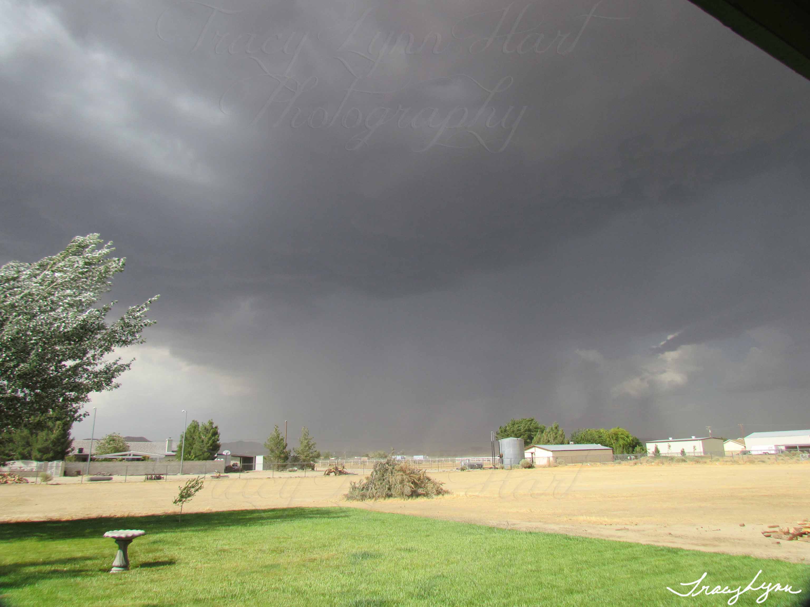 Rosamond Storm from East