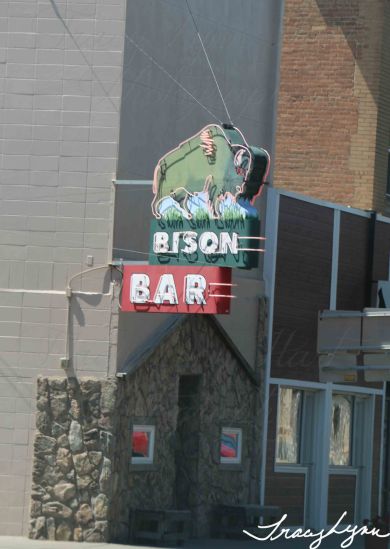 Bison Bar MT