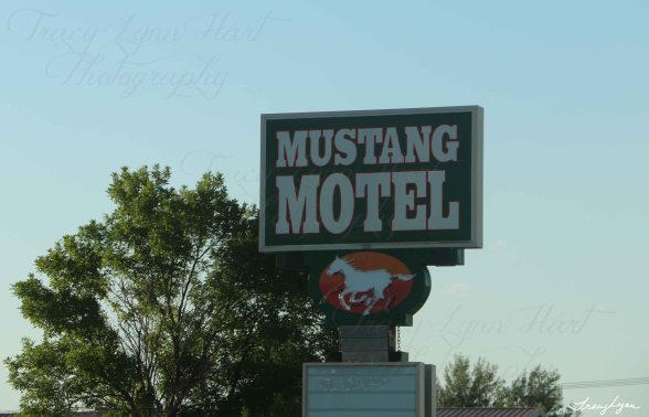 Mustang Motel Montana