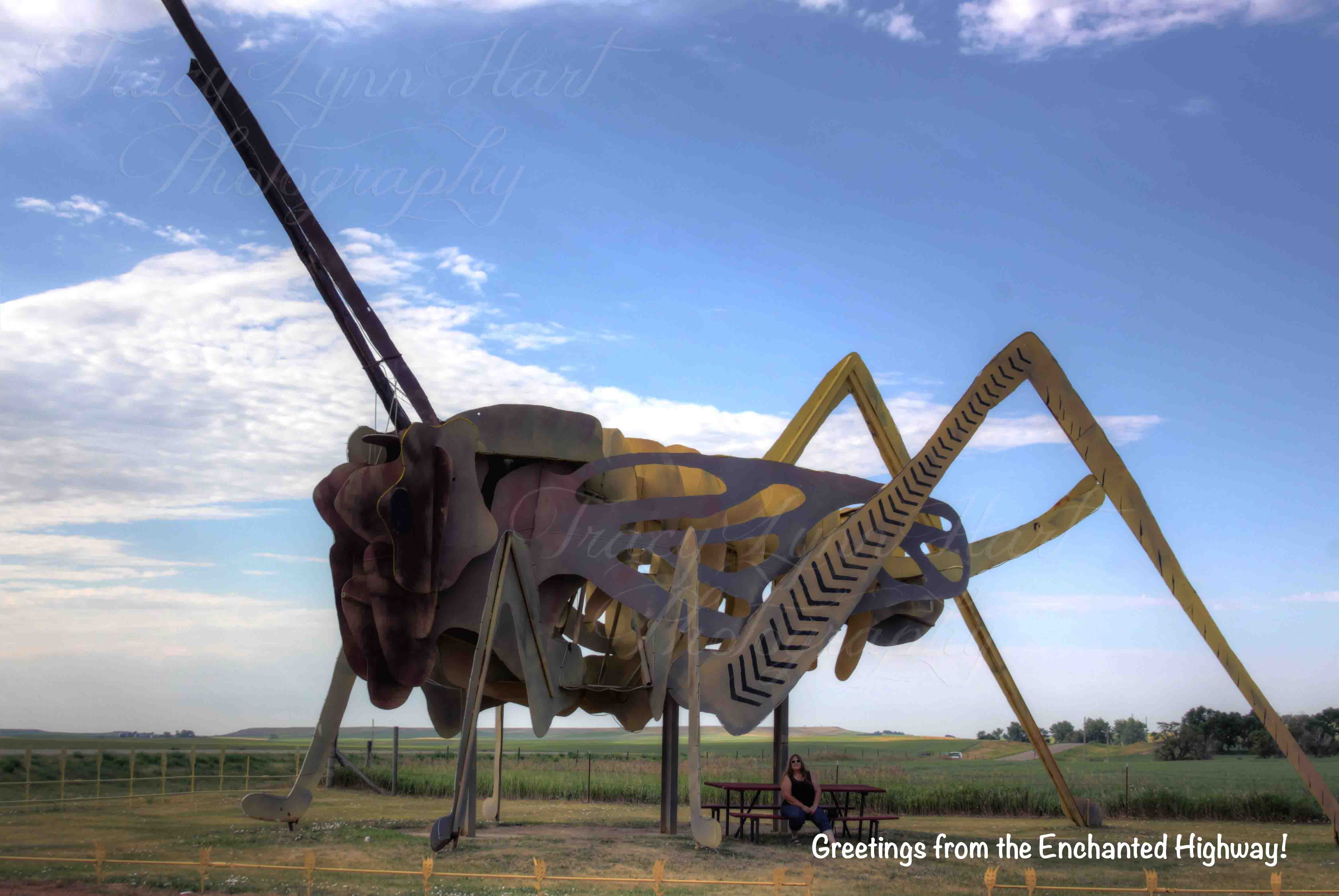 Tracy and hopper copy