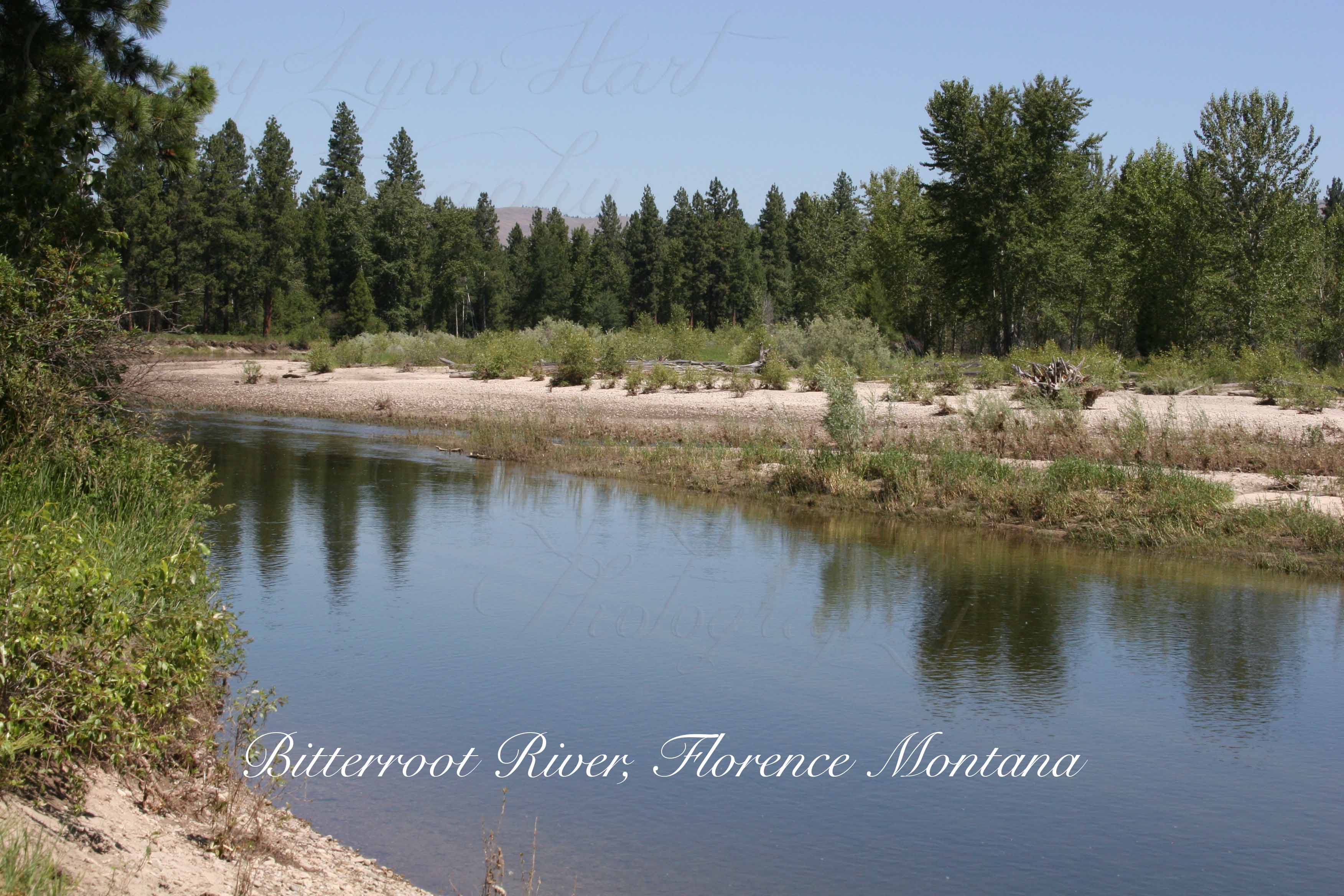 Bitterroot River copy