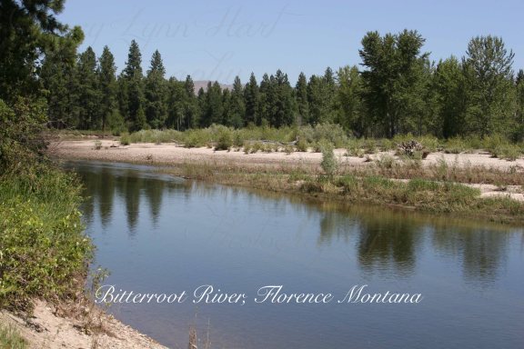 Bitterroot River copy