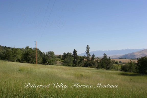 Bitterroot valley 01 copy