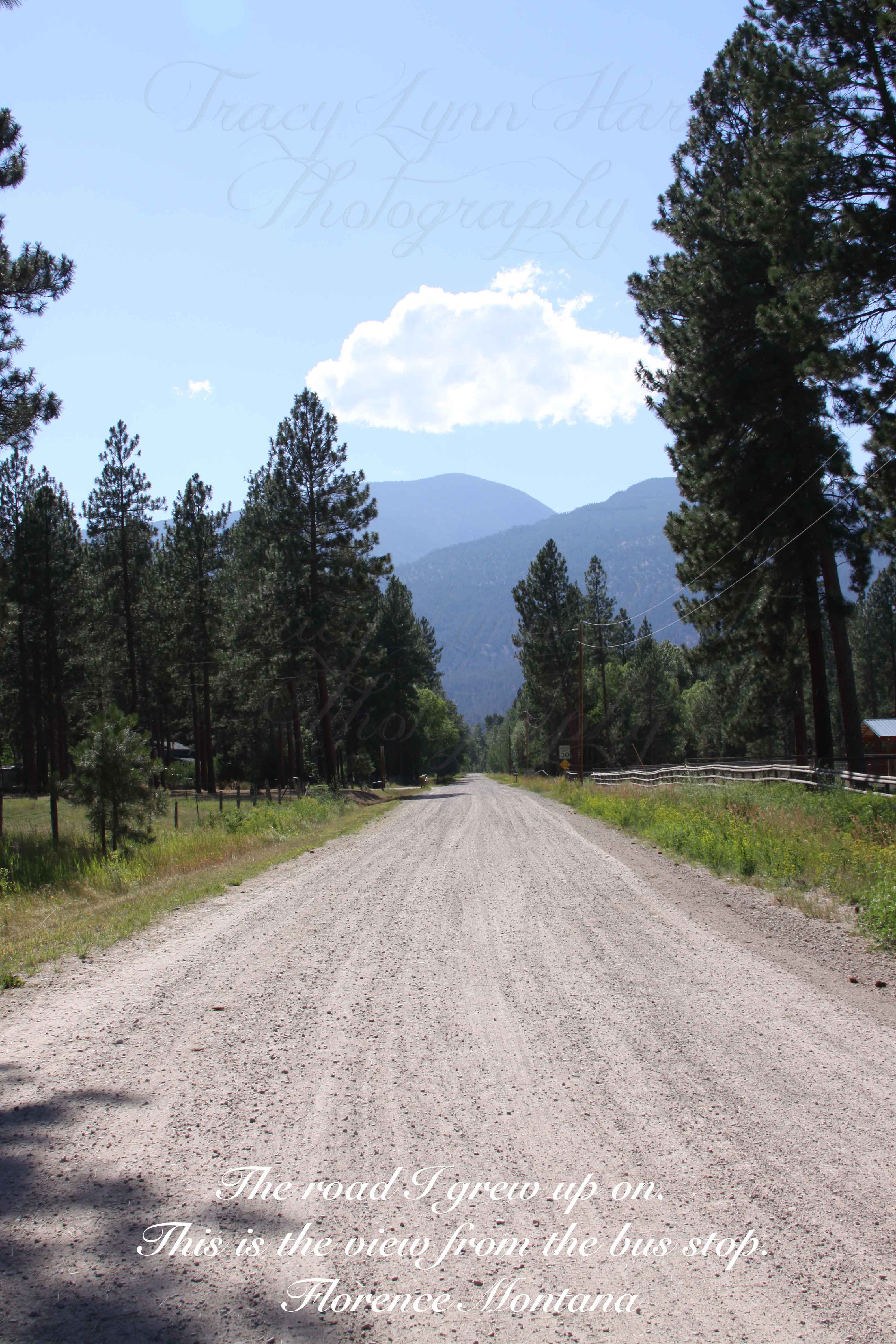 Caroline Lane 02 copy