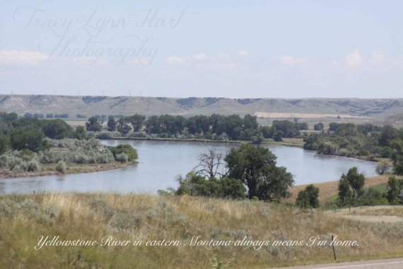 Yellowstone 01 copy