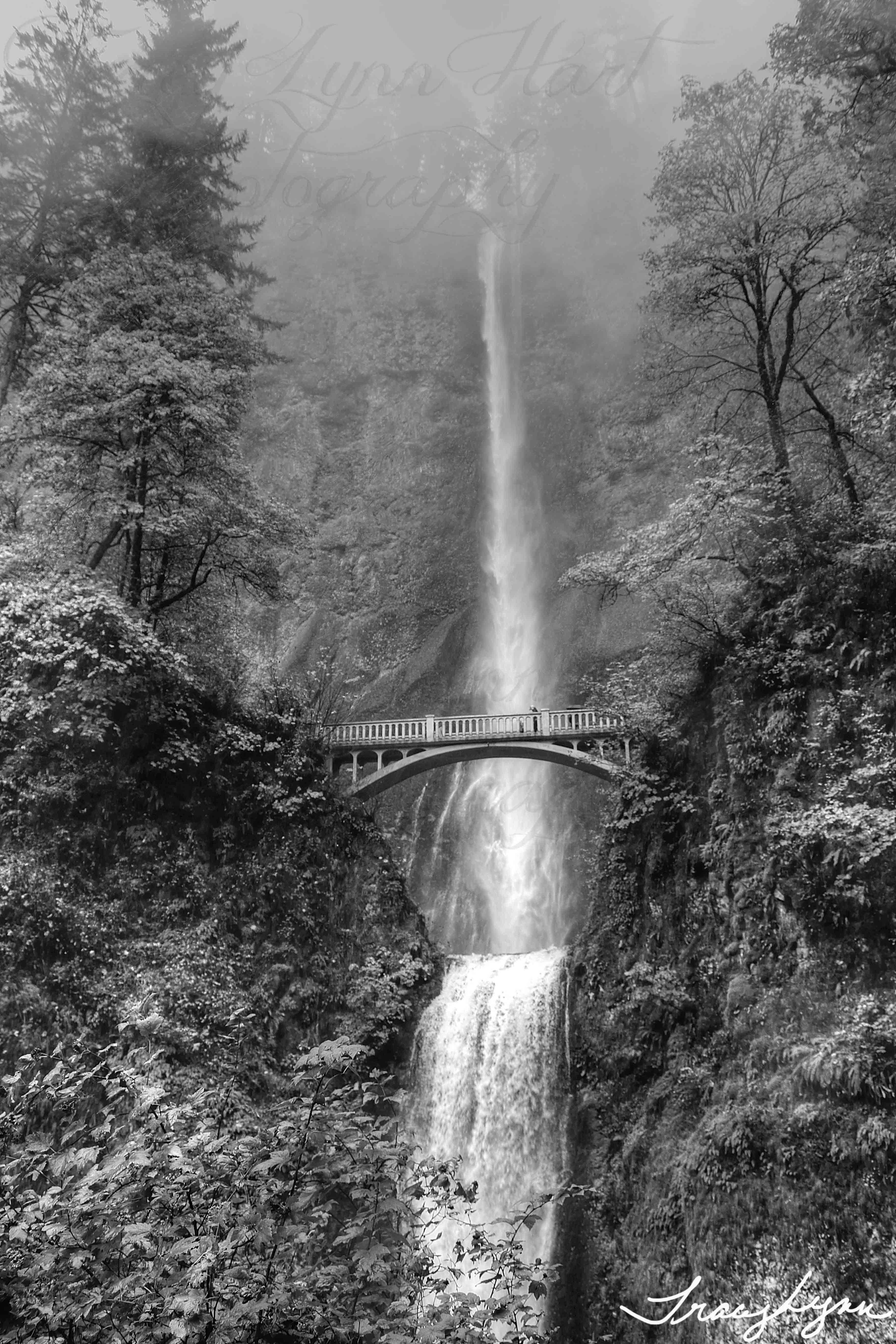 Multnomah b w signed
